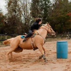 Redingote Hooded Insulated Jumpsuit -Equestrian Supplies Sales Store 35676 caviar 3