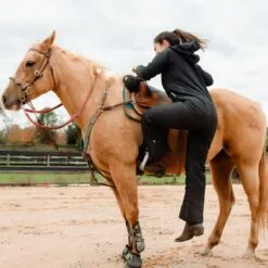 Redingote Hooded Insulated Jumpsuit -Equestrian Supplies Sales Store 35676 caviar 4