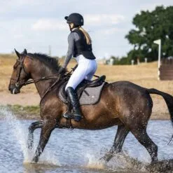 Airowear Outlyne II Protective Vest -Equestrian Supplies Sales Store 35730 black l1